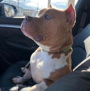 Meet your Posher, Karl